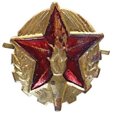 ODZNAK AČR ROZLIŠOVACÍ PROTILETADLOVÉ VOJSKO LEVÝ+PRAVÝ 23x21mm ZLATÝ