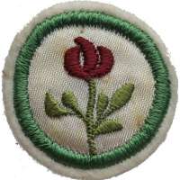 NÁŠIVKA SKAUT KRUH 38mm VELKÁ ROSTLINY 01