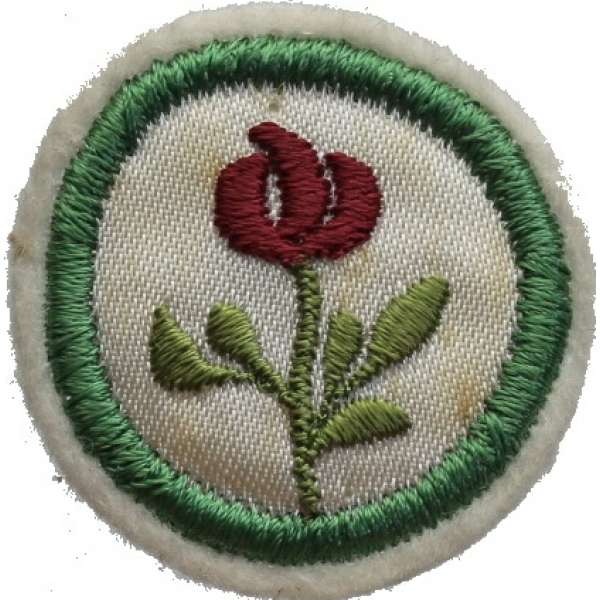 NÁŠIVKA SKAUT KRUH 38mm VELKÁ ROSTLINY 01