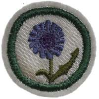 NÁŠIVKA SKAUT KRUH 38mm VELKÁ ROSTLINY 10