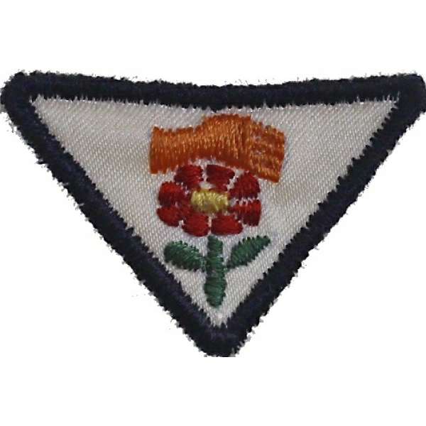 NÁŠIVKA SKAUT TROJÚHELNÍK 45x35mm 22