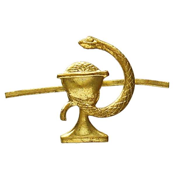 ODZNAK AČR ROZLIŠOVACÍ ZDRAVOTNÍK PRAVÝ 15x20mm ZLATÝ