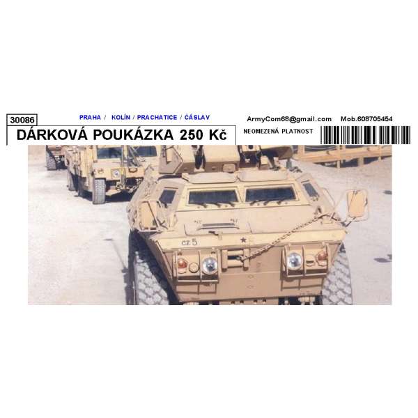 DÁRKOVÁ POUKÁZKA 250 Kč