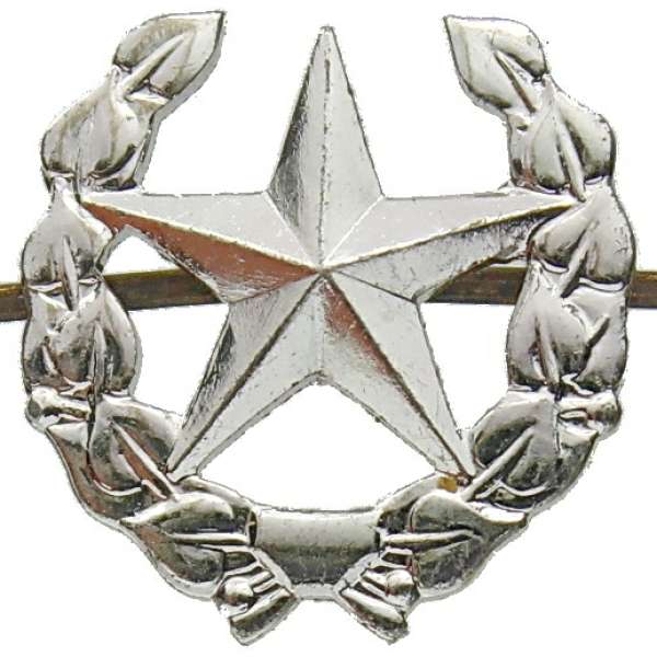 ODZNAK AČR ROZLIŠOVACÍ VŠEVOJSKOVÝ 22x22mm STŘÍBRNÝ