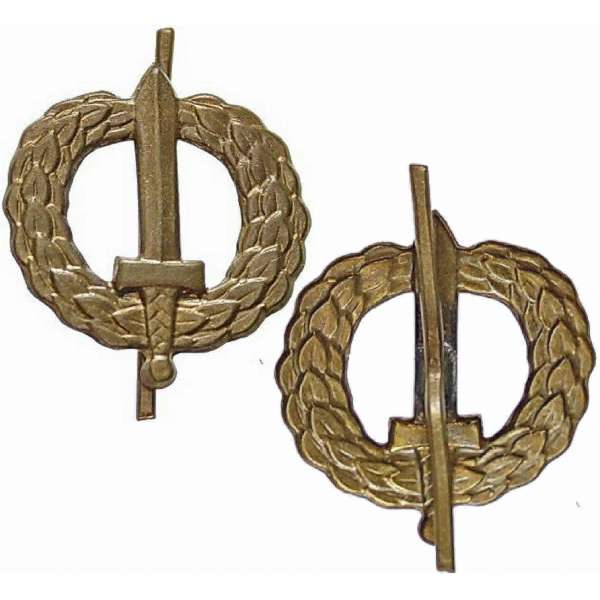 ODZNAK ASR VŠEVOJSKOVÝ MEČ 20x25mm MATNÝ