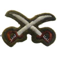 NÁŠIVKA BRIT 4R 55x30mm MEČE PHYSICAL TRAINING INSTRUCTOR PTI