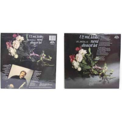 DESKA VINYL LP ZMOŽEK Už mi lásko není dvacet let 1990 SUPRAFON