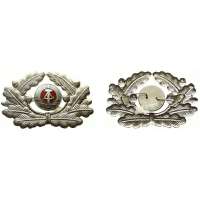 ODZNAK DDR ČEPICOVÝ 68x45mm BAREVNÝ ZNAK STŘÍBRNÝ