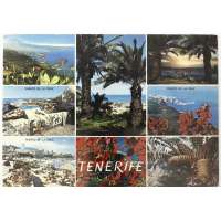 Pohled ŠPANĚLSKO TENERIFE Š BAR PROŠLÝ
