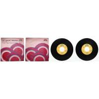 DESKA VINYL SP RINGO ČECH 1.JAKÝ JSEM BYL 2.DISKOTÉKA 1983 SUPRAPHON