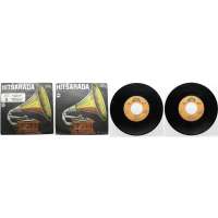 DESKA VINYL S.TOFFI,D.VEŠKRNOVÁ 1.POSLEDNÍ FOTKA 2.DOBROU NOC I DEN 1985 SUPRAPHON