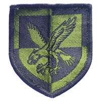 NÁŠIVKA BRIT 55x60mm 16th AIR ASSAULT BRIGADE orig OLIV