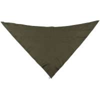 ŠÁTEK RAKOUSKO BW KAZ03 130x60cm orig OLIV