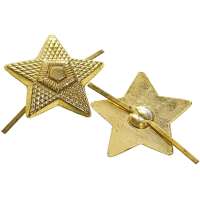 ODZNAK AČR HVĚZDA DŮSTOHNICKÁ 22mm ZLATÁ