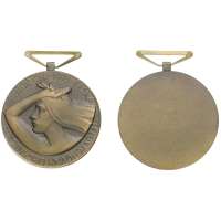 MEDAILE PŘEBOR ČSR 1973 ČS TĚLOVÝCHOVNÁ ORGANIZACE, 50mm 59gr BRONZOVÁ