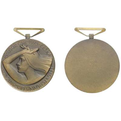 MEDAILE PŘEBOR ČSR 1973 ČS TĚLOVÝCHOVNÁ ORGANIZACE, 50mm 59gr BRONZOVÁ