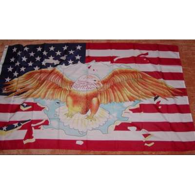 VLAJKA US OREL 90x150cm