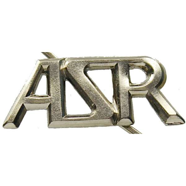 ODZNAK ASR 30x13mm STŘÍBRNÝ