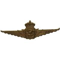 ODZNAK BELGIE 2.SV 600x22mm ČEPICOVÝ Belgian Royal Air Force Wings Cap Badge NCO ZLATÝ