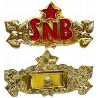 ODZNAK ČSSR SNB 30X10mm ZLATÝ