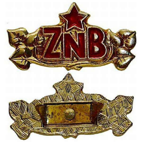 ODZNAK ČSSR ZNB 30X10mm ZLATÝ