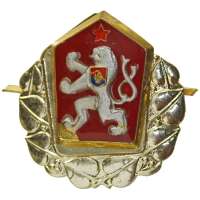 ODZNAK SNB, VB ČEPICOVÝ 24x32mm PRAPORČICKÝ STŘÍBRNÝ
